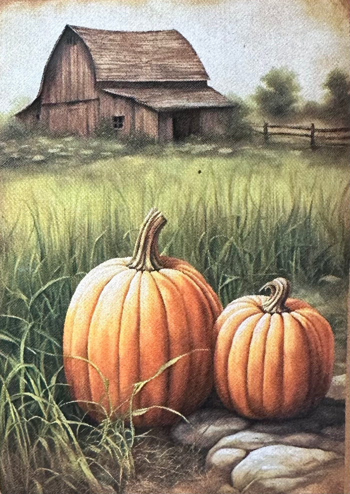 Two Pumpkins and Barn