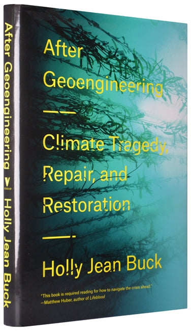 After Geoengineering