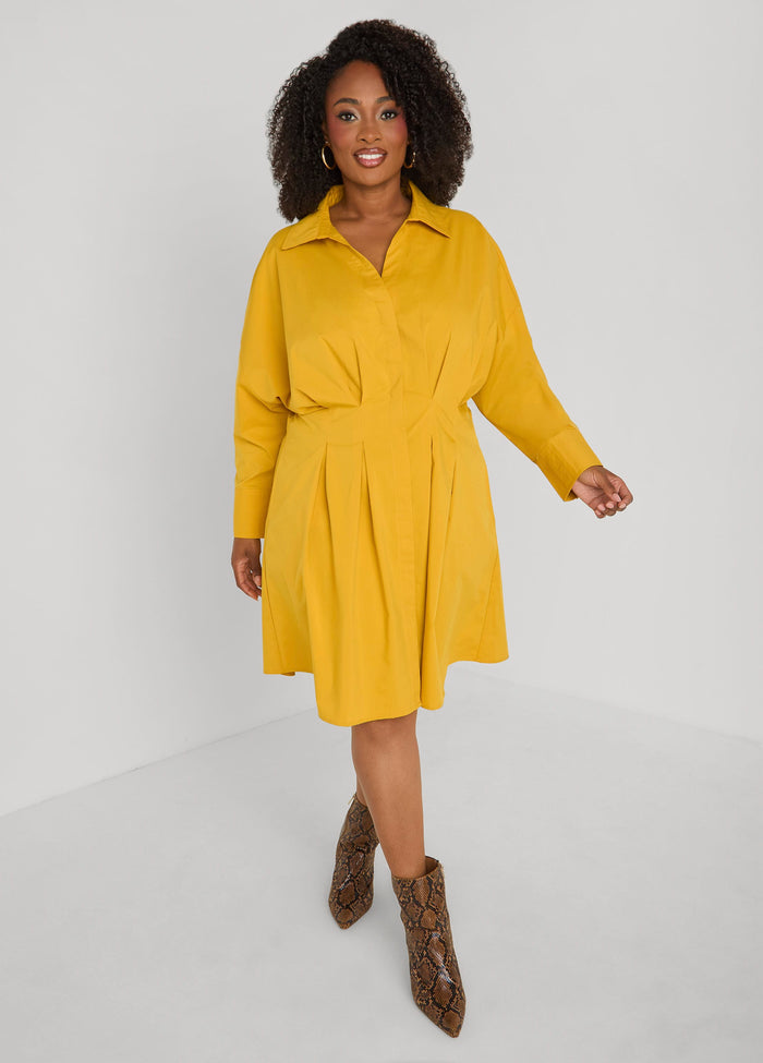 Pleated Poplin Shirtdress