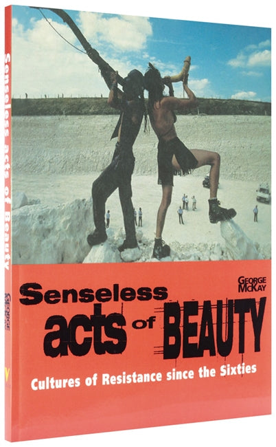 Senseless Acts of Beauty
